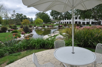 Enlarge photo 28