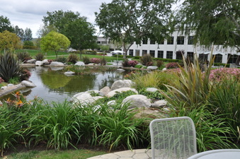 Enlarge photo 29