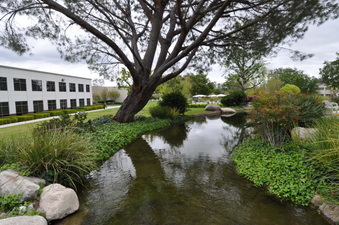 Enlarge photo 38