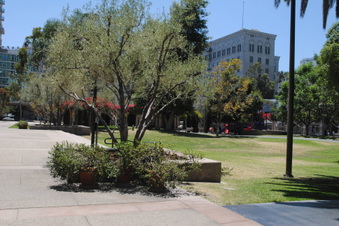 Enlarge photo 8