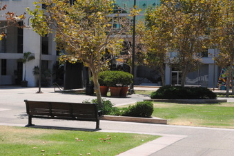 Enlarge photo 37