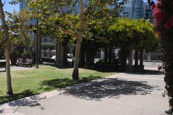 Enlarge photo 39