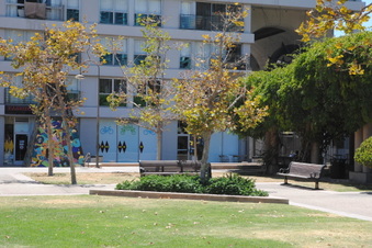 Enlarge photo 40