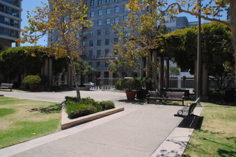 Enlarge photo 41