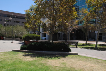 Enlarge photo 47