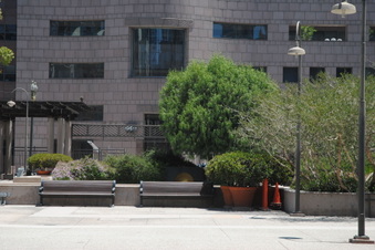 Enlarge photo 48