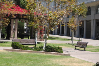 Enlarge photo 53