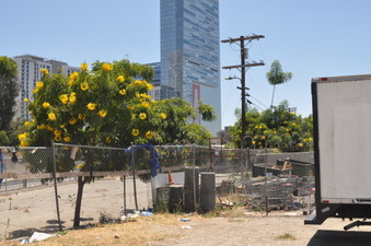 Enlarge photo 12