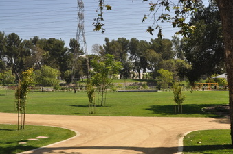 Johnny Carson Park