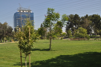 Enlarge photo 5