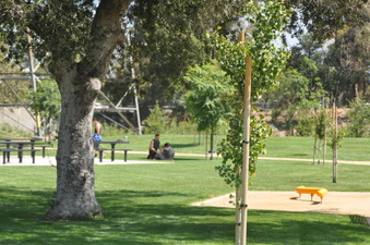 Enlarge photo 11
