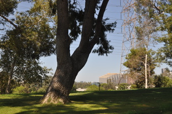 Enlarge photo 24
