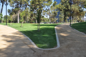 Enlarge photo 27