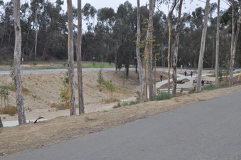 Enlarge photo 10