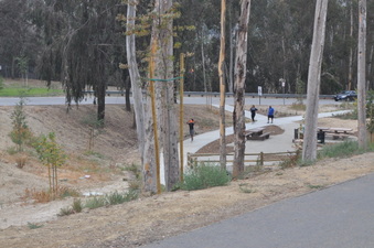 Enlarge photo 11