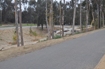 Enlarge photo 13