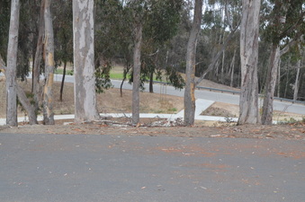 Enlarge photo 24