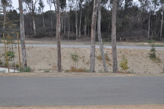 Enlarge photo 28