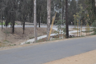 Enlarge photo 29