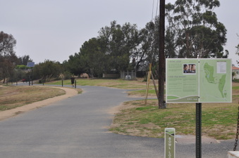 Enlarge photo 31