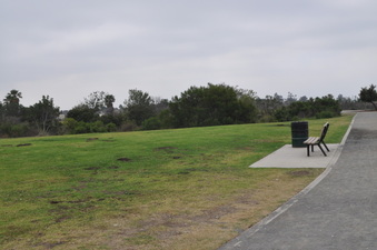 Enlarge photo 46