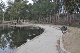 Enlarge photo 59