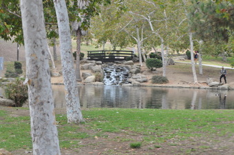 Enlarge photo 63