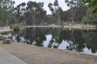Enlarge photo 67