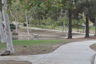 Enlarge photo 70