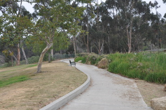 Enlarge photo 72