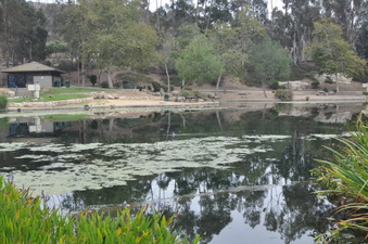 Enlarge photo 73