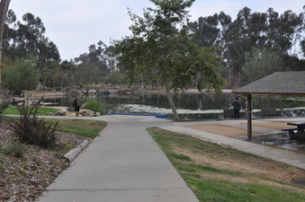 Enlarge photo 76