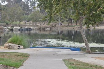 Enlarge photo 77