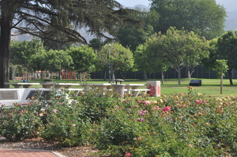 Enlarge photo 4
