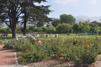 Mccambridge Park