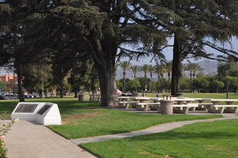 Enlarge photo 7