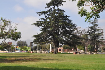 Enlarge photo 23