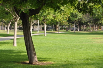 Enlarge photo 26