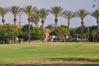Enlarge photo 27