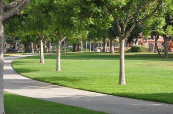 Enlarge photo 28