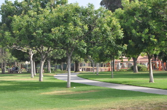Enlarge photo 29