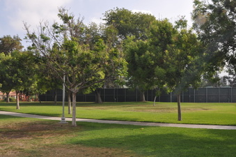 Enlarge photo 30