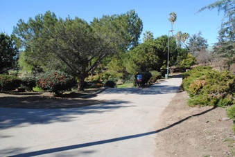 Enlarge photo 2