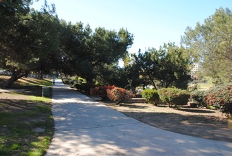 Enlarge photo 3