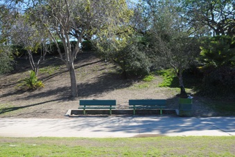 Enlarge photo 16