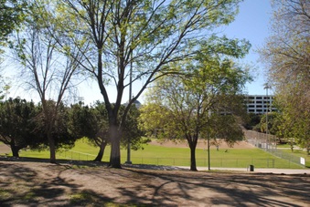 Enlarge photo 28