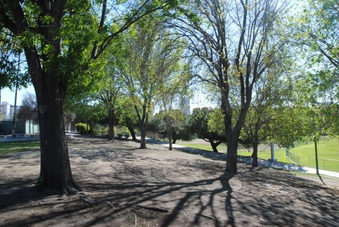 Enlarge photo 30