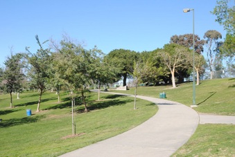 Enlarge photo 33