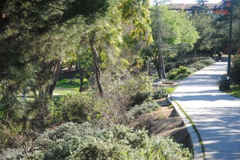 Enlarge photo 38