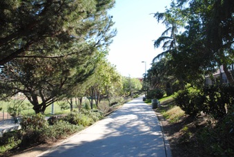 Enlarge photo 39